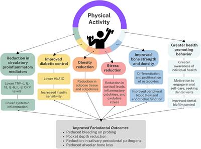 Physical activity as a modifiable risk factor for periodontal disease